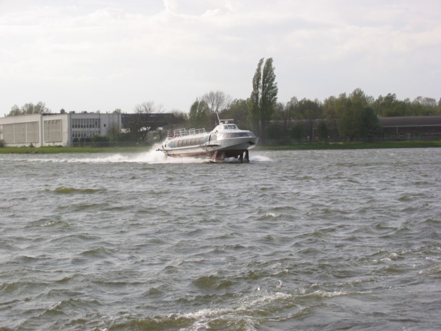 IMG_7537.JPG