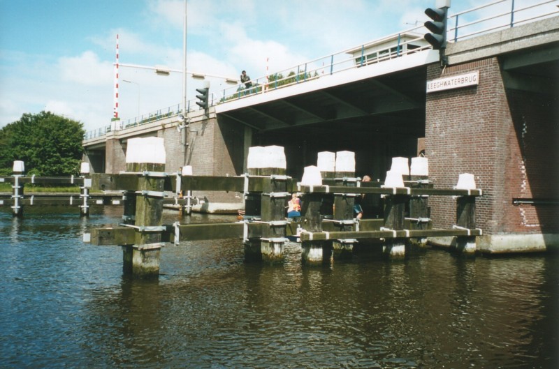 pinkster_2000_16.jpg