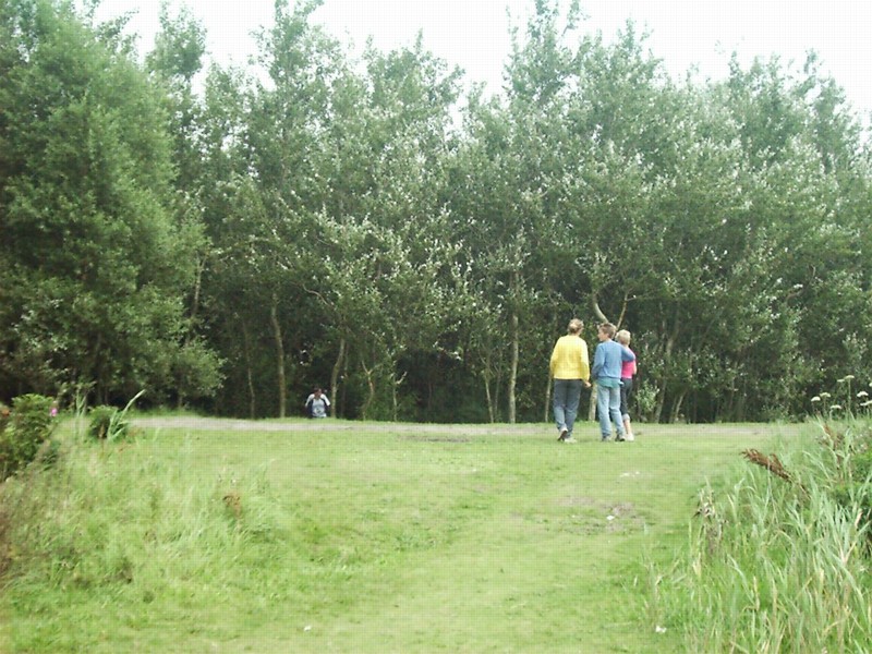 hoofd06.JPG