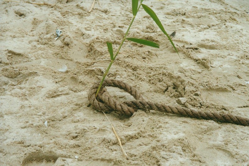 scan 0014.JPG