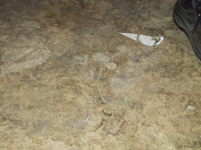 105-0540_IMG.JPG