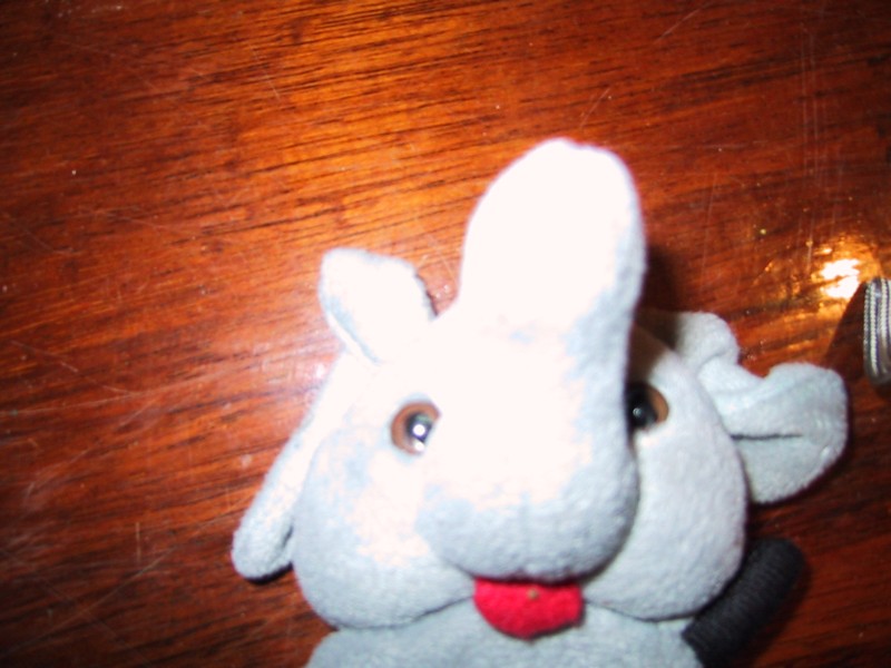 105-0551_IMG.JPG