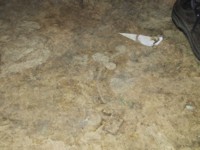 105-0540_IMG.JPG