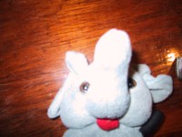 105-0551_IMG.JPG