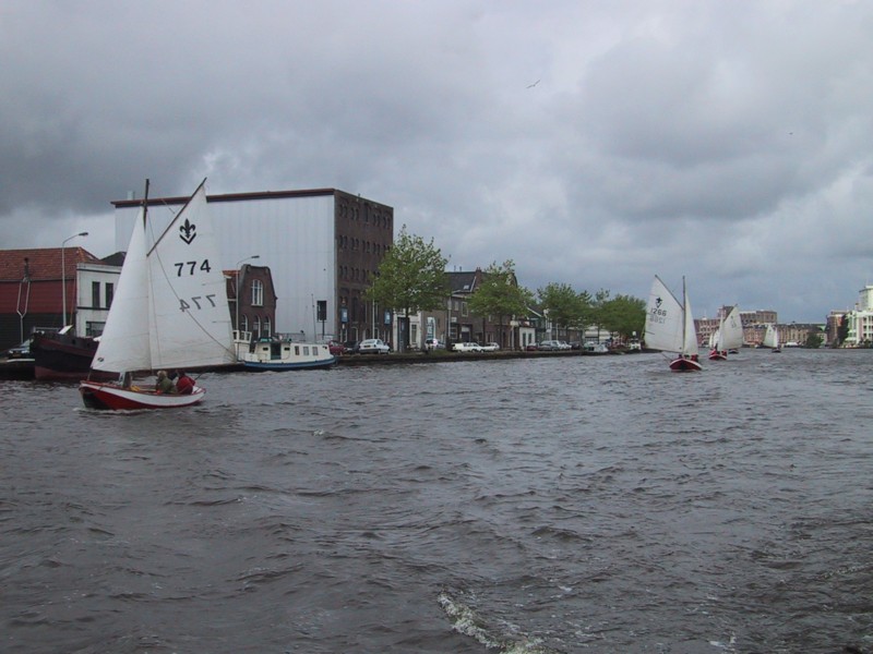 IMG_2239.JPG