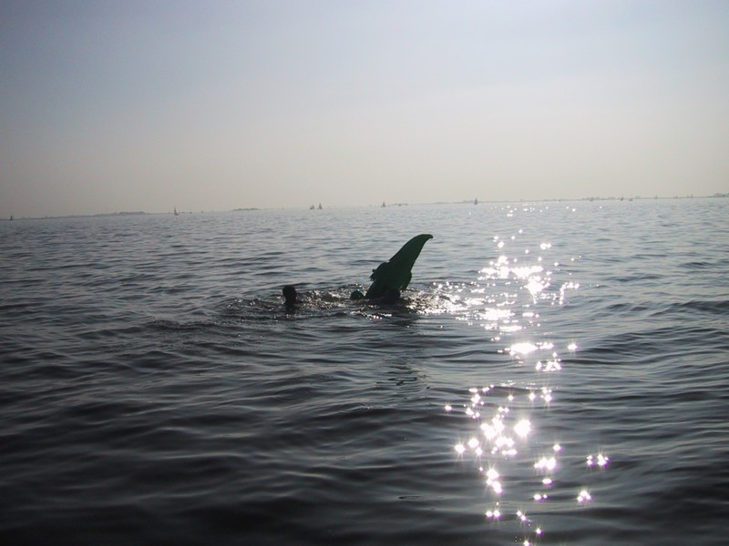 IMG_4140.JPG