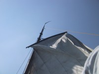 IMG_4124.JPG