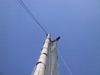 IMG_4125.JPG