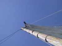 IMG_4126.JPG