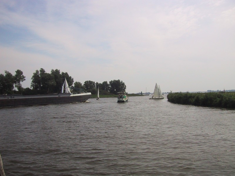 IMG_4175.JPG
