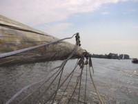 IMG_4180.JPG
