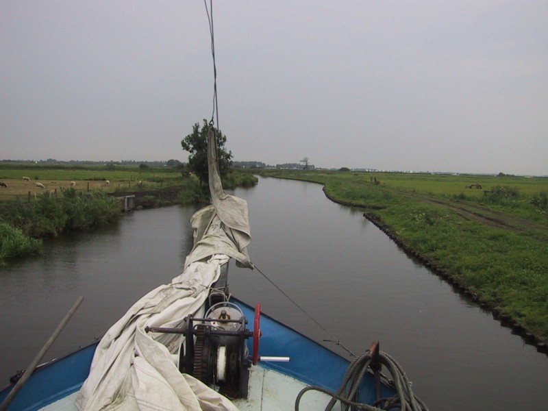 IMG_4282.JPG