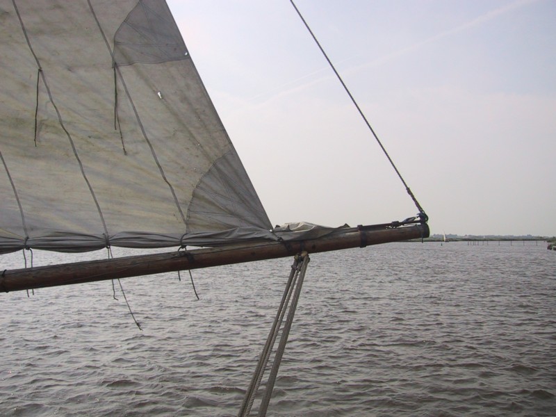 IMG_4285.JPG