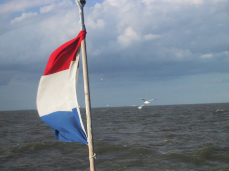 IMG_4351.JPG
