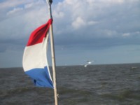 IMG_4351.JPG
