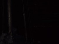 IMG_4373.JPG