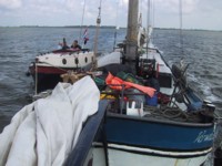 IMG_4380.JPG