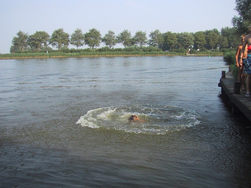 IMG_4513.JPG