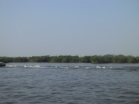 IMG_4493.JPG