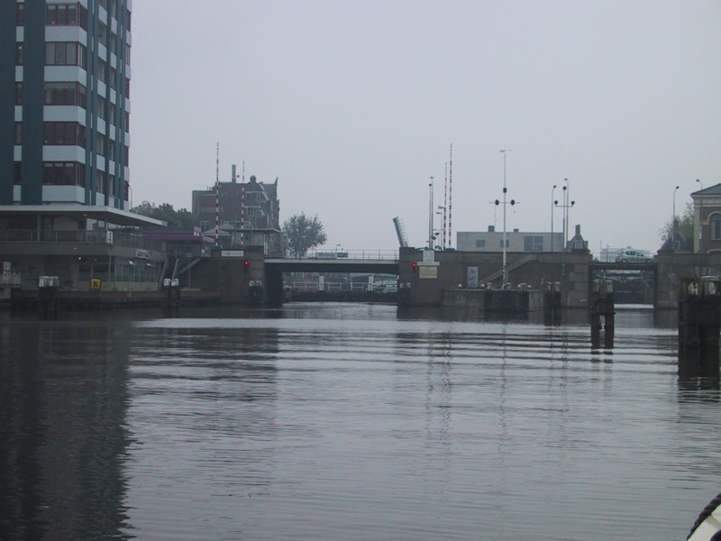 IMG_2654.JPG
