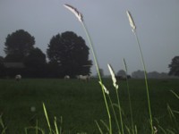 IMG_2746.JPG