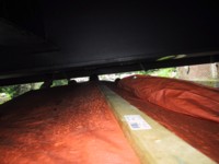 IMG_2878.JPG