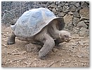 IMG_6946.JPG