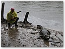 IMG_0075.JPG