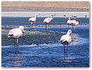 IMG_0081.JPG
