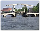IMG_2765.JPG