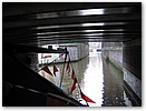 IMG_2809.JPG