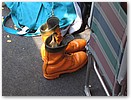 IMG_2893.JPG