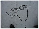 IMG_3300.JPG