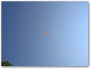 IMG_2938.JPG
