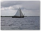 IMG_4255.JPG