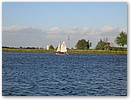 IMG_4276.JPG