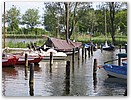 IMG_4310.JPG