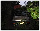 IMG_5810.JPG