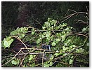 IMG_5813.JPG