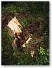 IMG_5818.JPG