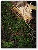 IMG_5820.JPG