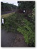 IMG_5822.JPG