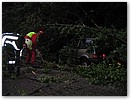 IMG_5825.JPG
