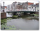 IMG_6951.JPG