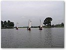IMG_7016.JPG