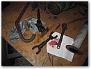 IMG_4043.JPG
