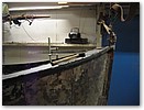 IMG_4075.JPG