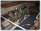 IMG_4359.JPG