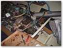 IMG_4368.JPG