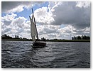 IMG_4993.JPG